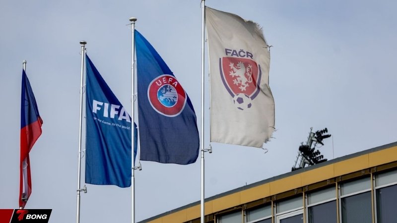 Quy trình tố tụng và các tội danh hình sự đối với nhóm nghi phạm